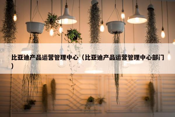 比亚迪产品运营管理中心（比亚迪产品运营管理中心部门）