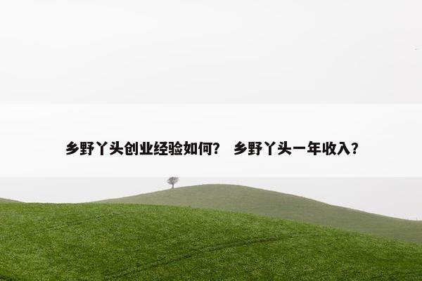 乡野丫头创业经验如何？ 乡野丫头一年收入？