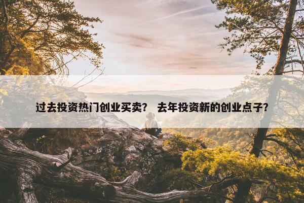 过去投资热门创业买卖？ 去年投资新的创业点子？