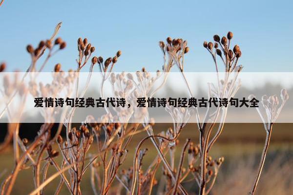 爱情诗句经典古代诗，爱情诗句经典古代诗句大全