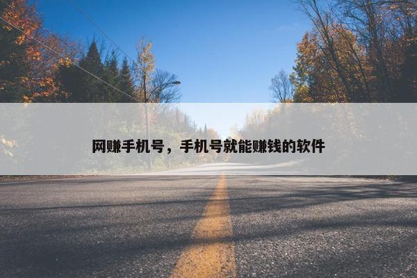 网赚手机号，手机号就能赚钱的软件