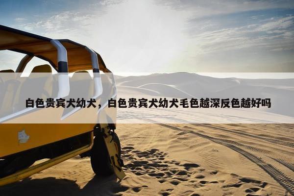 白色贵宾犬幼犬，白色贵宾犬幼犬毛色越深反色越好吗