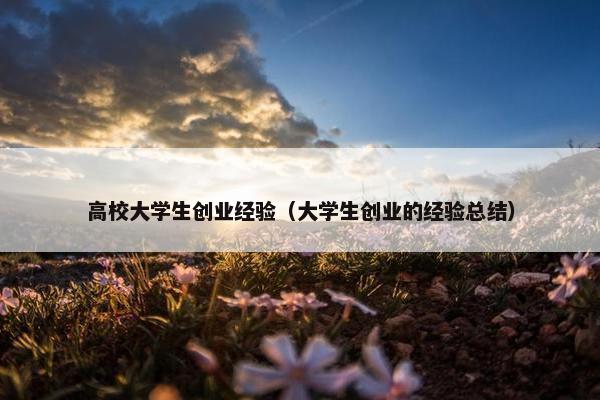 高校大学生创业经验(大学生创业的经验总结) 高校大学生创业经验(大学生创业的经验总结)
