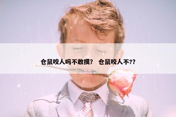 仓鼠咬人吗不敢摸？ 仓鼠咬人不?？