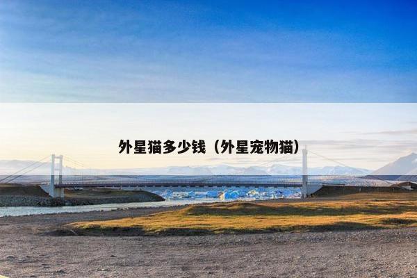外星猫多少钱（外星宠物猫）