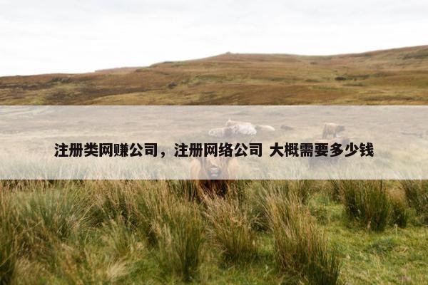 注册类网赚公司,注册网络公司 大概需要多少钱 注册类网赚公司,注册网络公司 大概需要多少钱