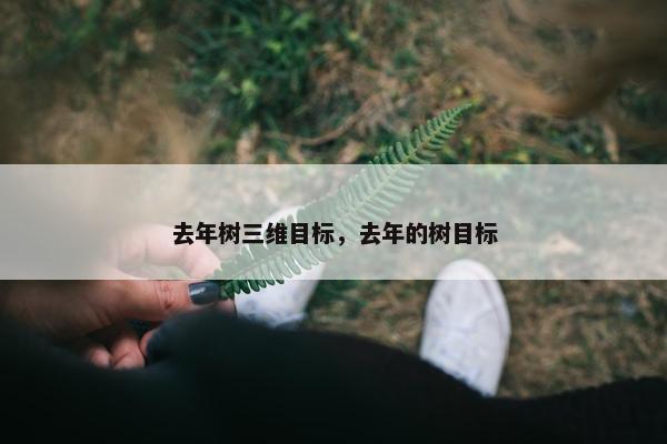 去年树三维目标，去年的树目标