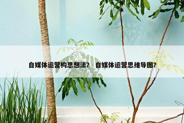 自媒体运营构思想法？ 自媒体运营思维导图？