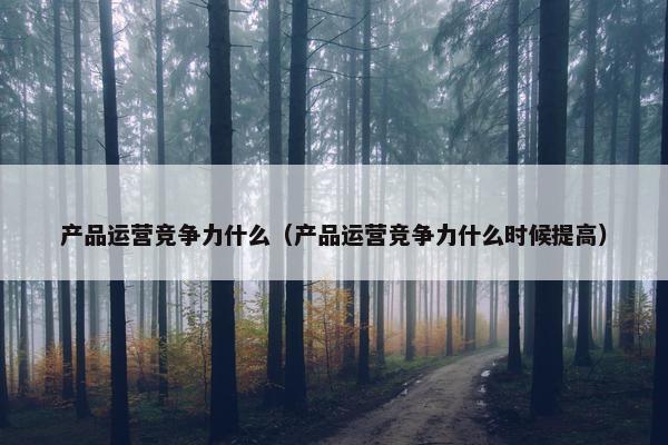 产品运营竞争力什么（产品运营竞争力什么时候提高）