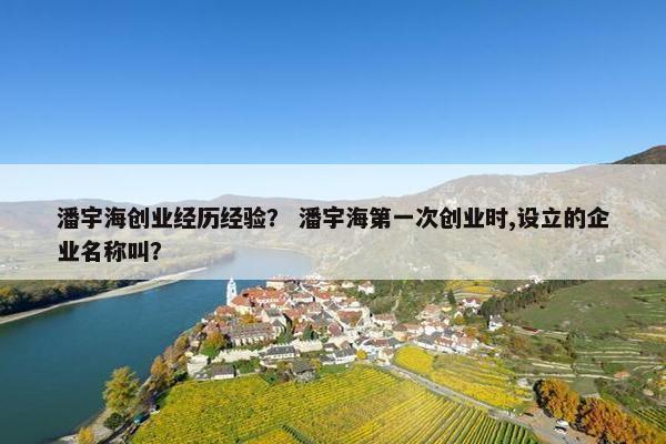 潘宇海创业经历经验？ 潘宇海第一次创业时,设立的企业名称叫？