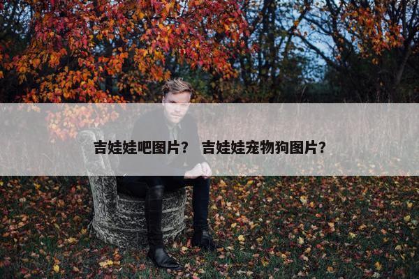 吉娃娃吧图片？ 吉娃娃宠物狗图片？