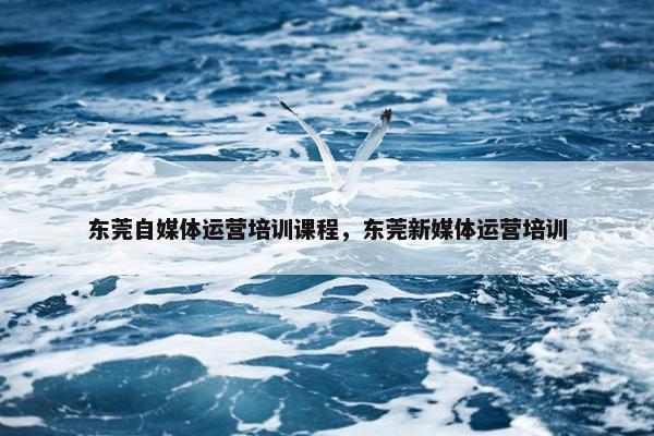 东莞自媒体运营培训课程,东莞新媒体运营培训 东莞自媒体运营培训课程,东莞新媒体运营培训