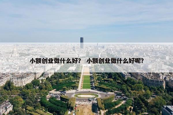 小额创业做什么好？ 小额创业做什么好呢？