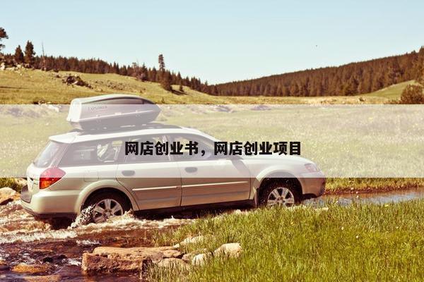 网店创业书，网店创业项目