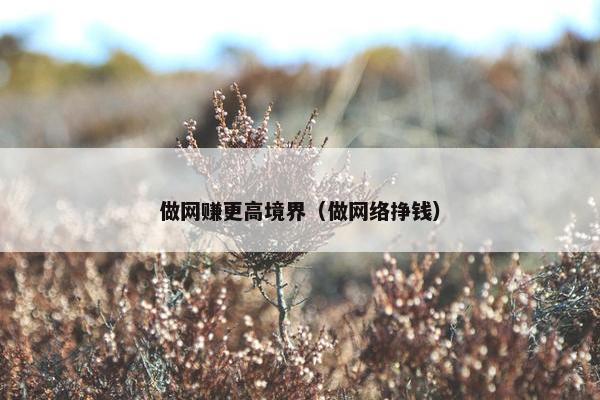 做网赚更高境界（做网络挣钱）