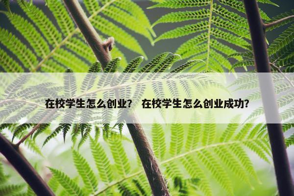 在校学生怎么创业? 在校学生怎么创业成功? 在校学生怎么创业? 在校学生怎么创业成功?
