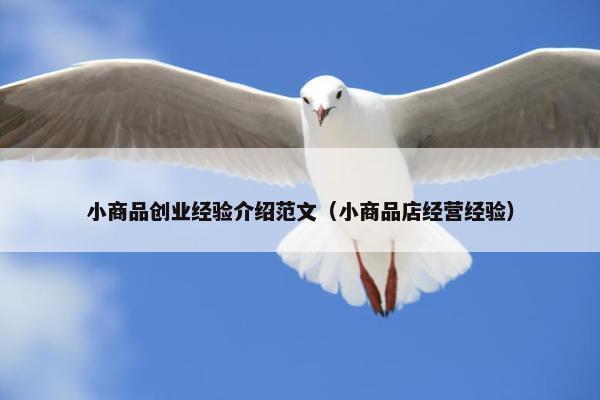 小商品创业经验介绍范文（小商品店经营经验）