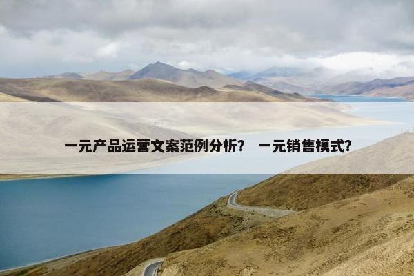 一元产品运营文案范例分析？ 一元销售模式？