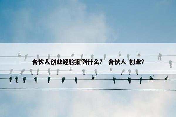 合伙人创业经验案例什么？ 合伙人 创业？