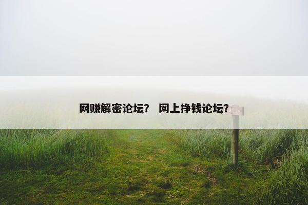 网赚解密论坛？ 网上挣钱论坛？