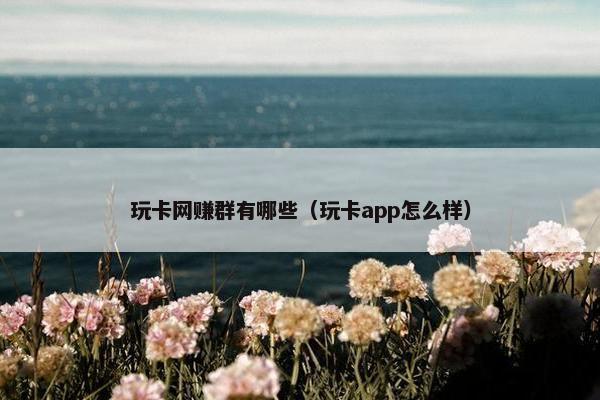 玩卡网赚群有哪些(玩卡app怎么样) 玩卡网赚群有哪些(玩卡app怎么样)