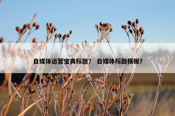 自媒体运营宝典标题？ 自媒体标题模板？