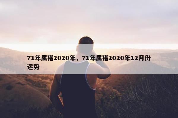 71年属猪2020年，71年属猪2020年12月份运势