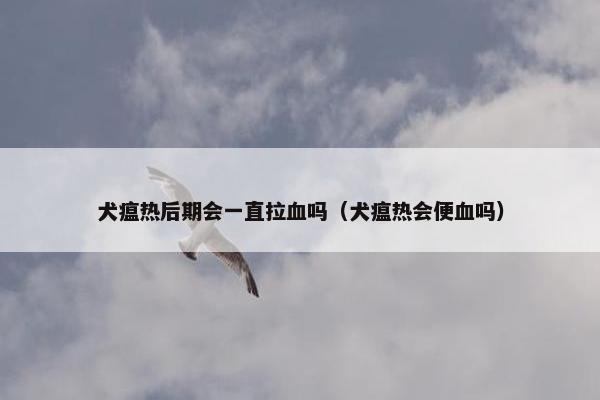 犬瘟热后期会一直拉血吗（犬瘟热会便血吗）