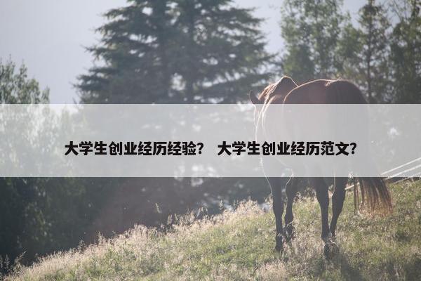 大学生创业经历经验？ 大学生创业经历范文？