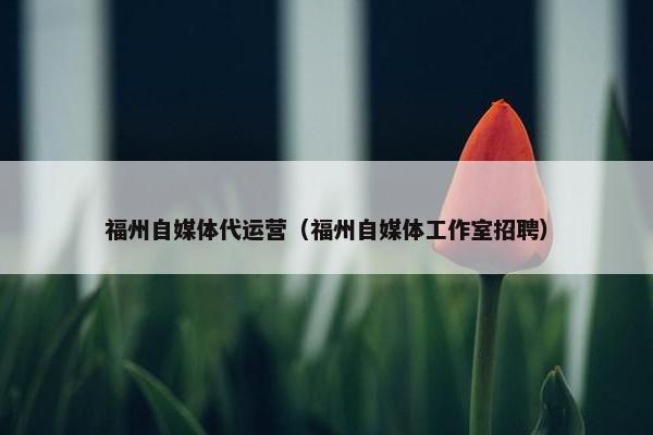 福州自媒体代运营（福州自媒体工作室招聘）
