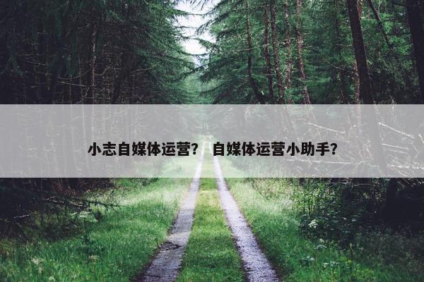 小志自媒体运营？ 自媒体运营小助手？