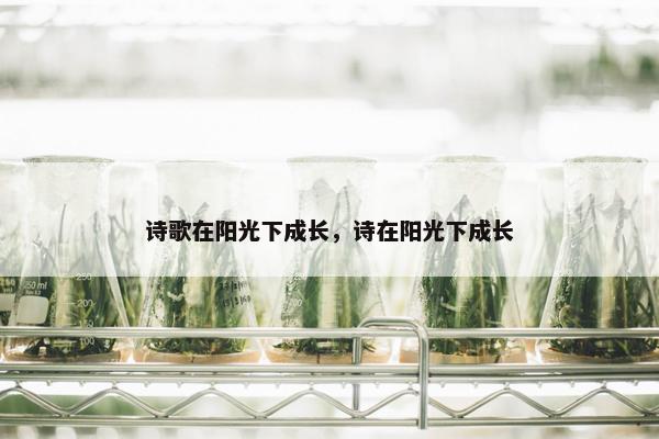 诗歌在阳光下成长，诗在阳光下成长