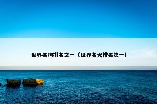 世界名狗排名之一（世界名犬排名第一）