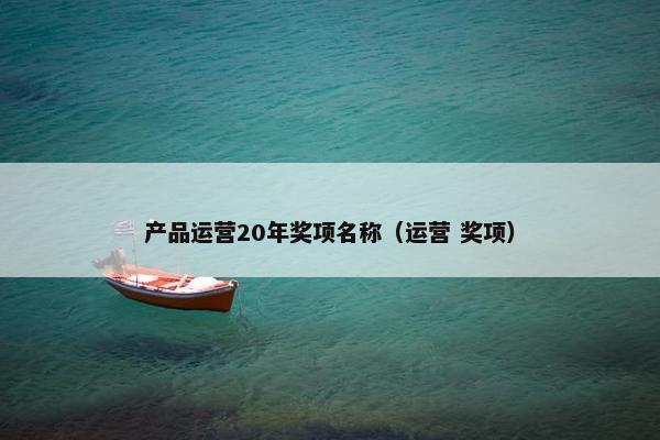 产品运营20年奖项名称（运营 奖项）