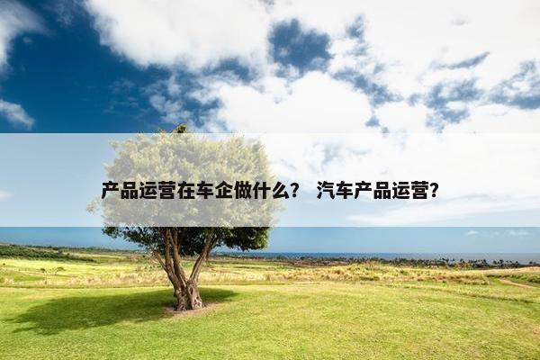 产品运营在车企做什么？ 汽车产品运营？