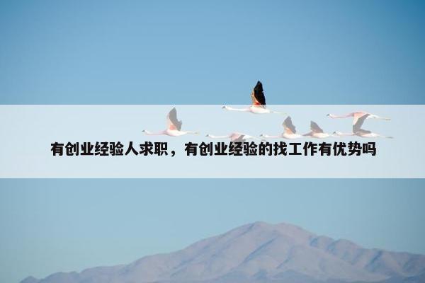 有创业经验人求职，有创业经验的找工作有优势吗