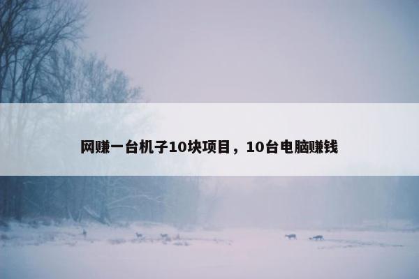 网赚一台机子10块项目，10台电脑赚钱