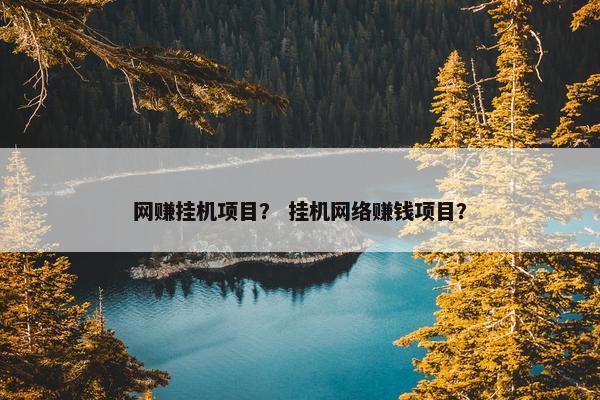 网赚挂机项目？ 挂机网络赚钱项目？