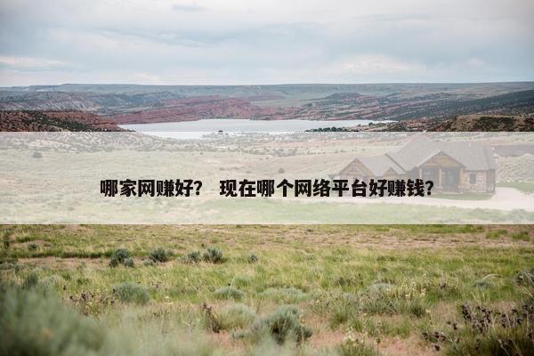 哪家网赚好? 现在哪个网络平台好赚钱? 哪家网赚好? 现在哪个网络平台好赚钱?