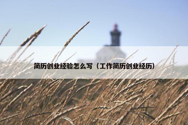 简历创业经验怎么写（工作简历创业经历）