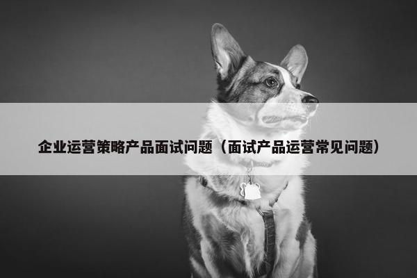 企业运营策略产品面试问题（面试产品运营常见问题）