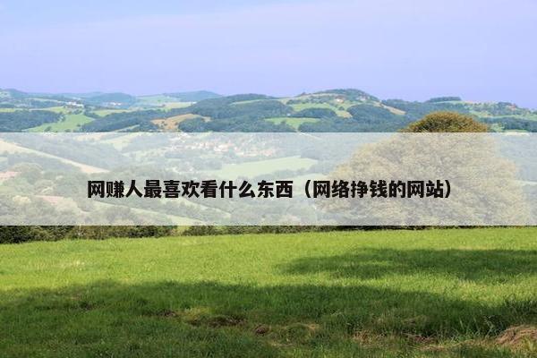 网赚人最喜欢看什么东西（网络挣钱的网站）