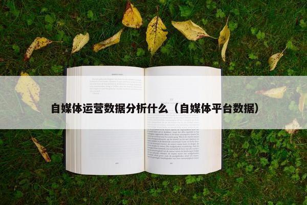 自媒体运营数据分析什么（自媒体平台数据）