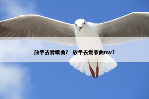 放手去爱歌曲？ 放手去爱歌曲mv？