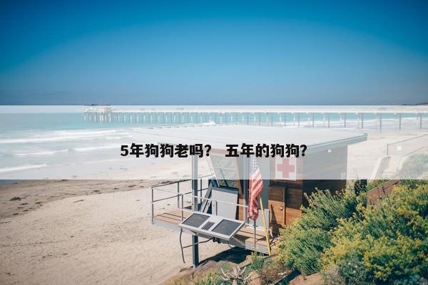 5年狗狗老吗？ 五年的狗狗？