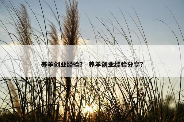 养羊创业经验？ 养羊创业经验分享？