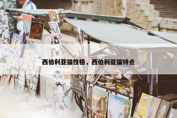 西伯利亚猫性格，西伯利亚猫特点