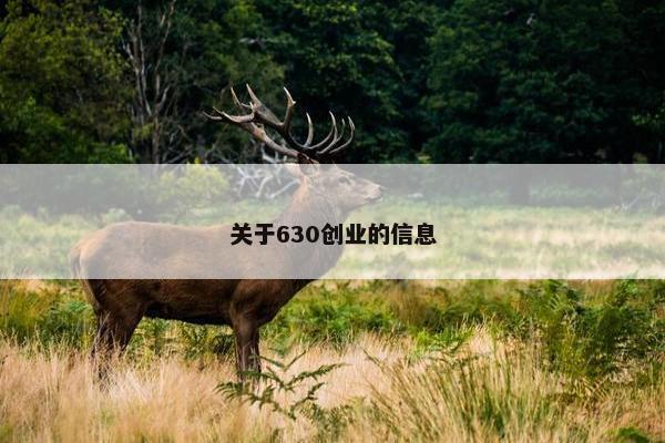 关于630创业的信息