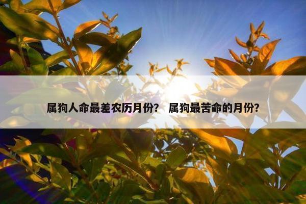 属狗人命最差农历月份？ 属狗最苦命的月份？