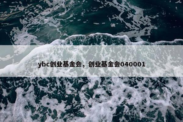 ybc创业基金会，创业基金会040001